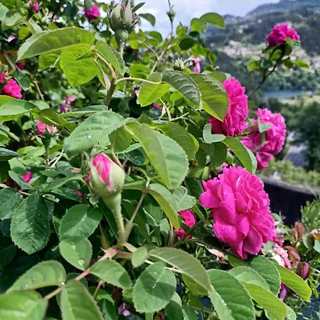 Сasa de vacaciones Retiro Da Montanha - Geres *