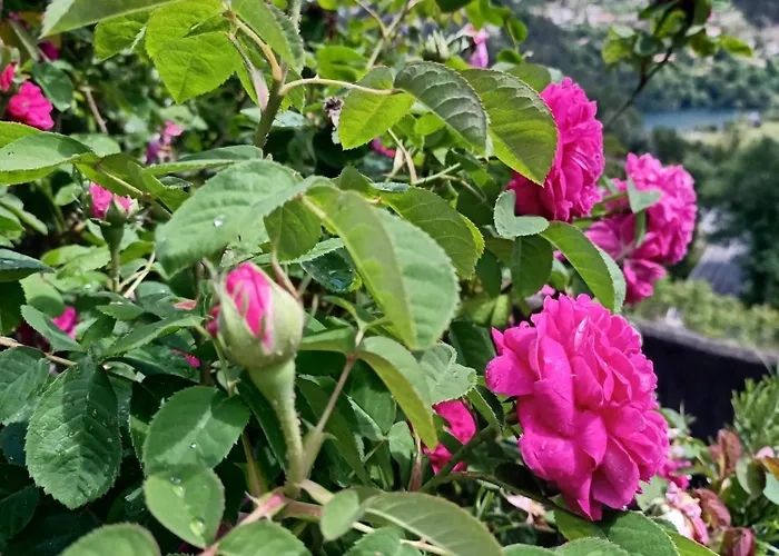 Casa vacanze Retiro Da Montanha - Geres *